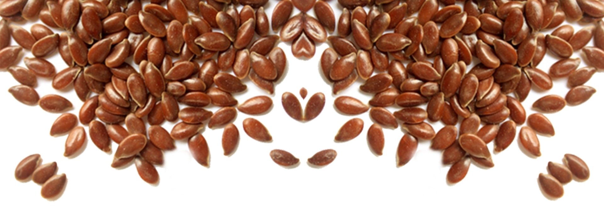 Unzählige Leinsamen auf weißem Grund